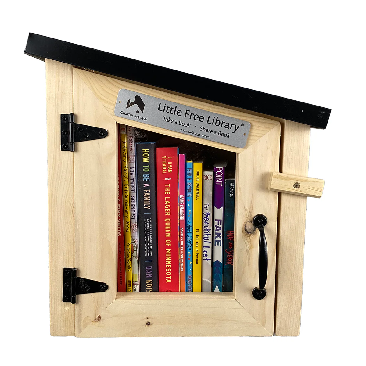 Unfinished Little Free Libraries